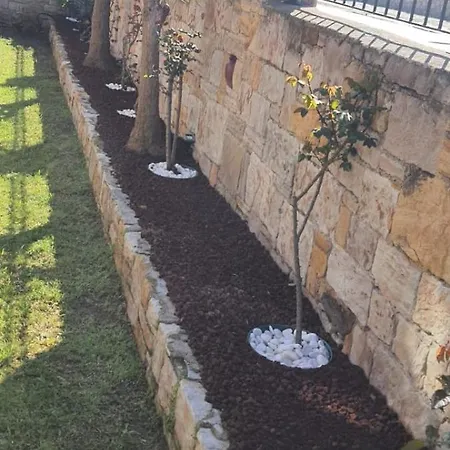 Suinn Cunda 2* Ayvalı